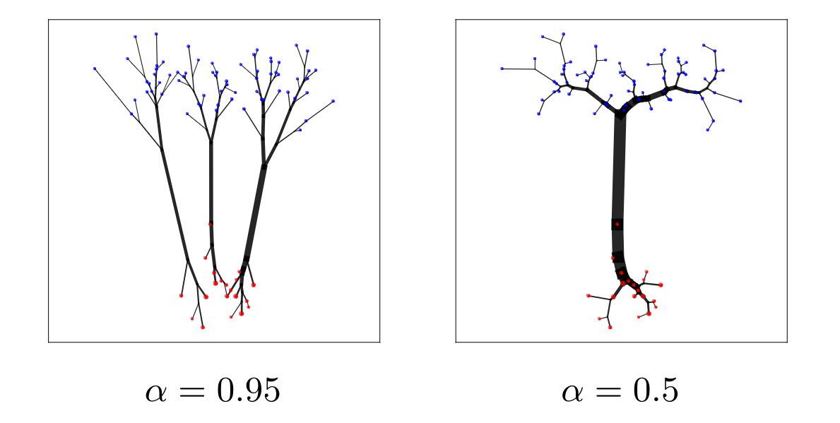 Theory and Approximate Solvers for Branched Optimal Transport with Multiple Sources